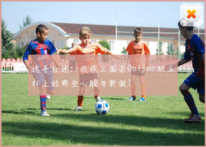选手自述:我在三国杀Online职业杯上的那些心酸与骄傲!