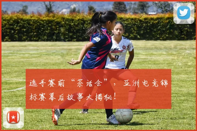 选手赛前“茶话会”,亚洲电竞锦标赛幕后故事大揭秘!